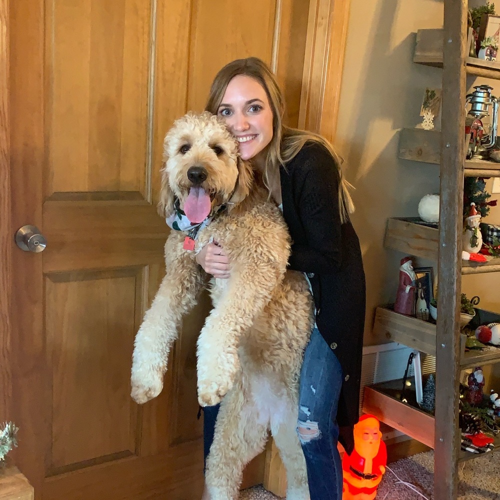 Meet your Posher, Blythe